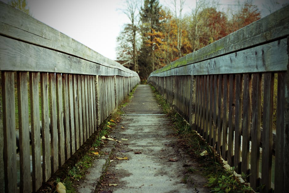 Long wooden bridge pathway surrounded by autumn trees in a serene forest setting.